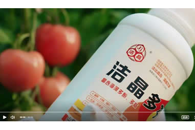开云网页版产品宣传片