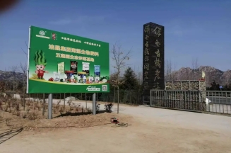 山东洁晶集团总裁、市人大代表林成彬建言日照茶产业提质增效